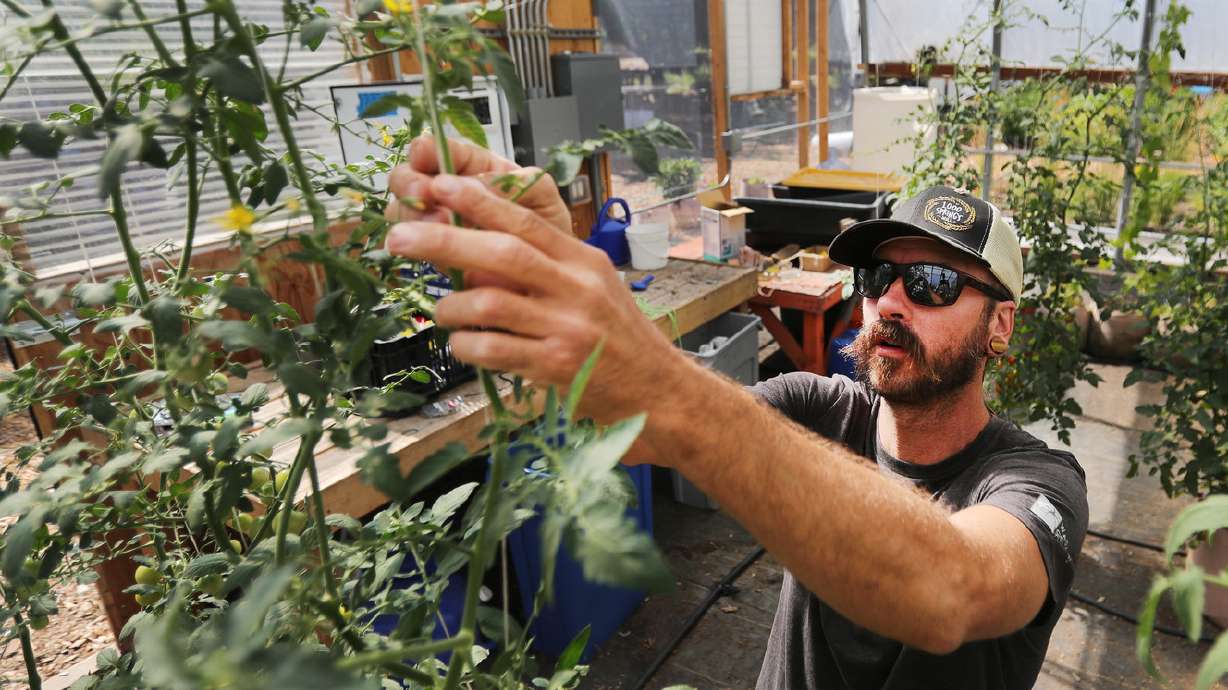 Family of entrepreneurs looks to pioneer vertical farming in Utah