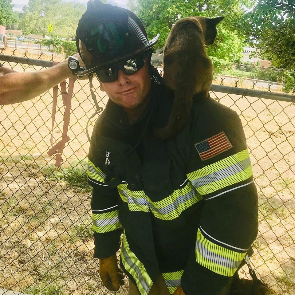 Pleasant Grove Fire Department's Lt. Nelson “pounced” into action to rescue this furry resident from a tall tree. (Photo: Pleasant Grove City Fire Department, Facebook)