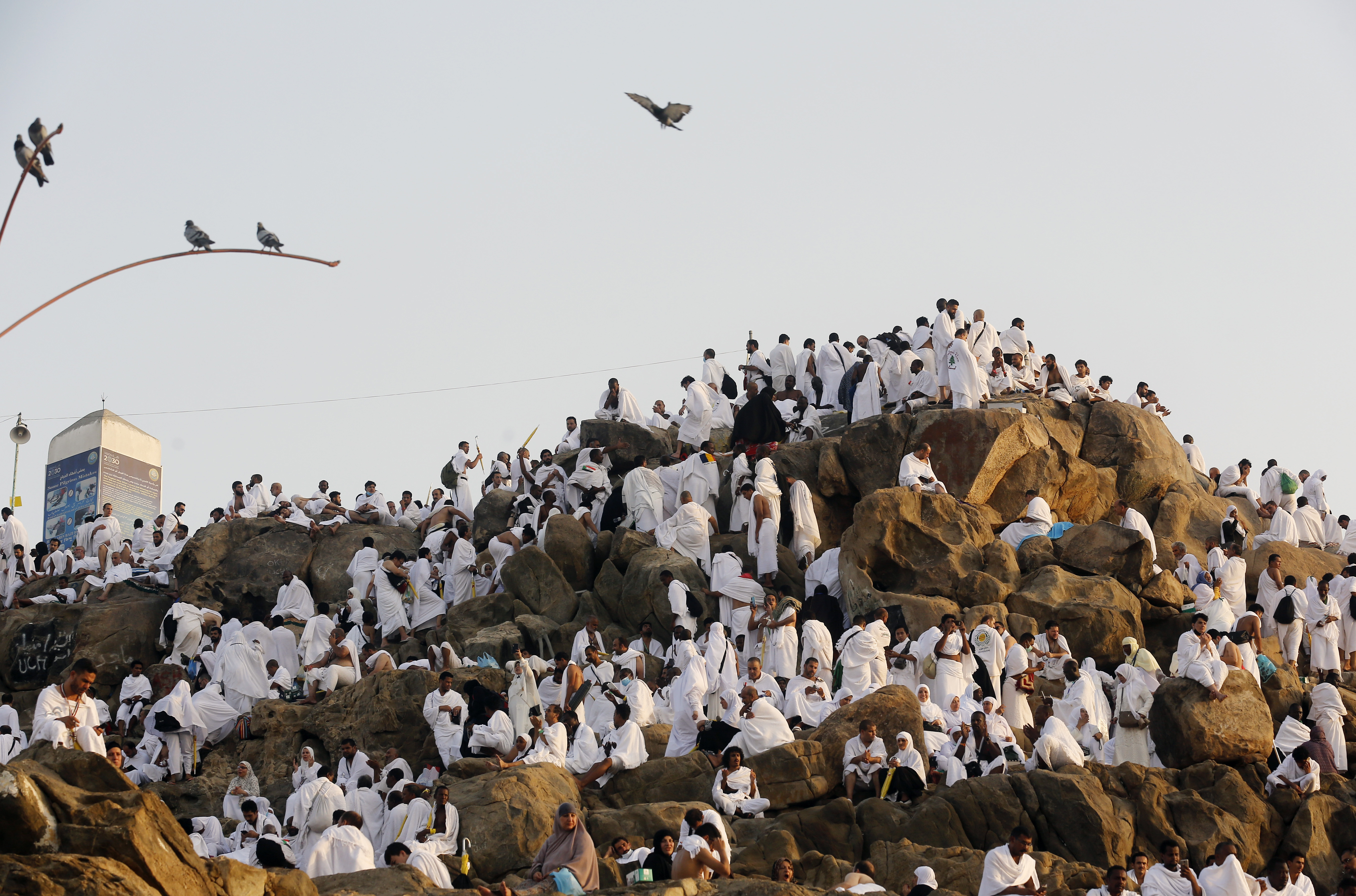 Muslim hajj pilgrims ascend Mount Arafat for day of worship