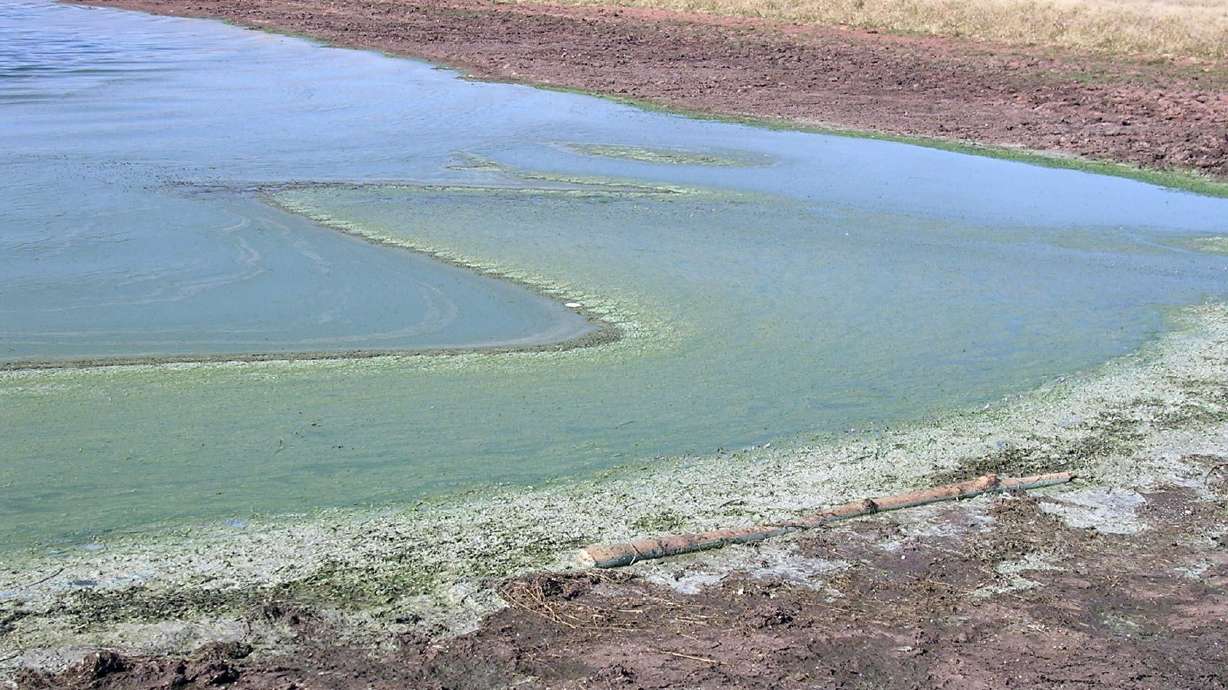 Dangerous toxins force closure of Vernal reservoir