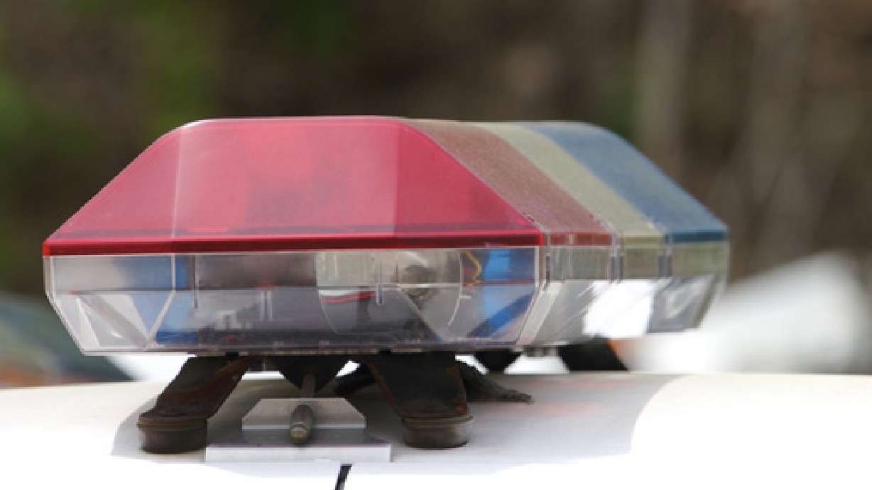 Carjacker fought off by victim