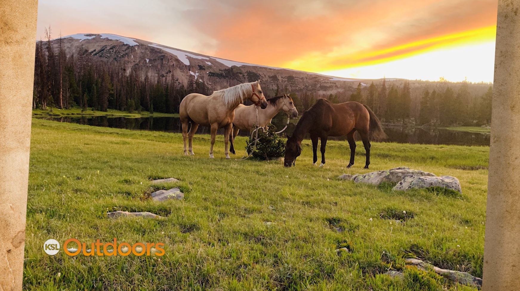 Snapshot of the Week: August 10, 2019