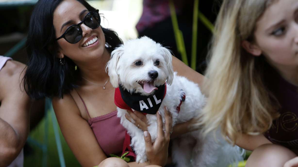 Doggy Con: a pop culture convention for furry fanatics