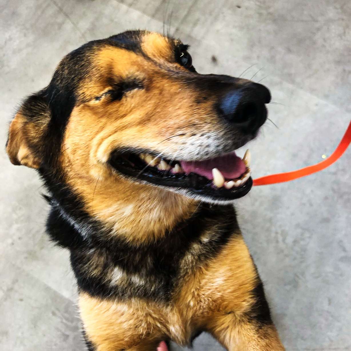 (Photo: Jen Riess, KSL.com)