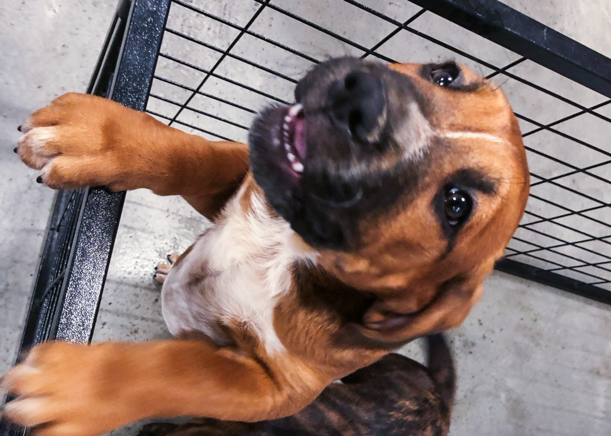 (Photo: Jen Riess, KSL.com)