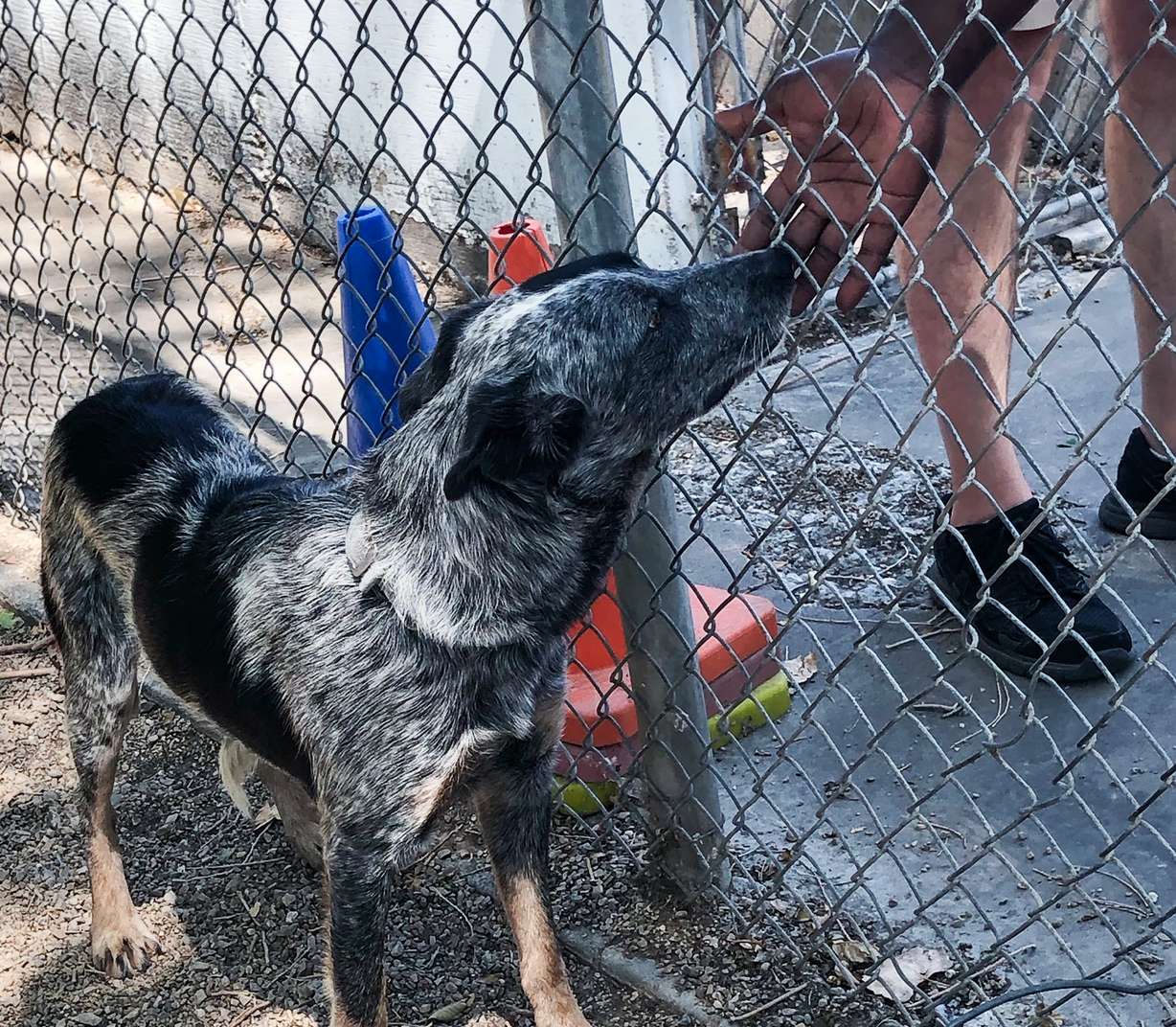 (Photo: Jen Riess, KSL.com)