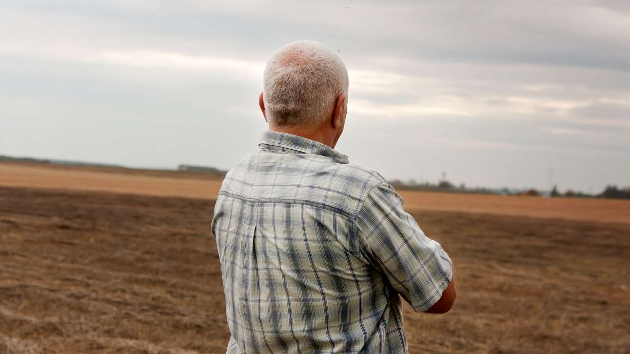 Farmers say Trump's trade war hurts them, but WH trade adviser defends President's strategy