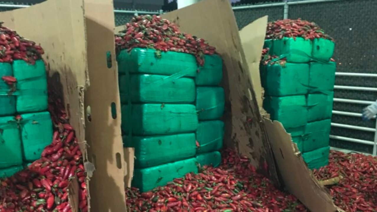 Nearly 4 tons of weed discovered inside a shipment of jalapeños