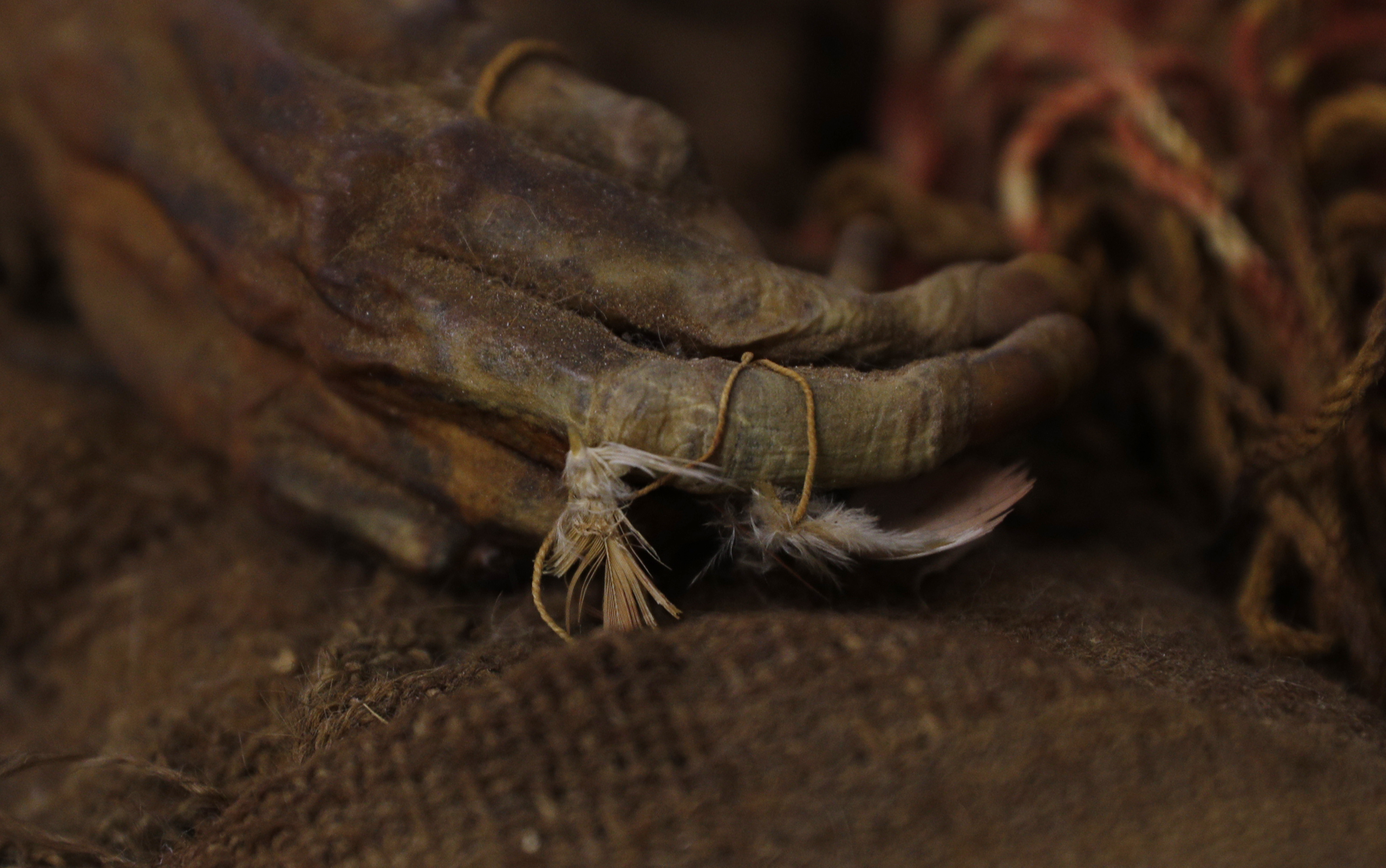 500-year-old mummy of Incan girl returns to Bolivia