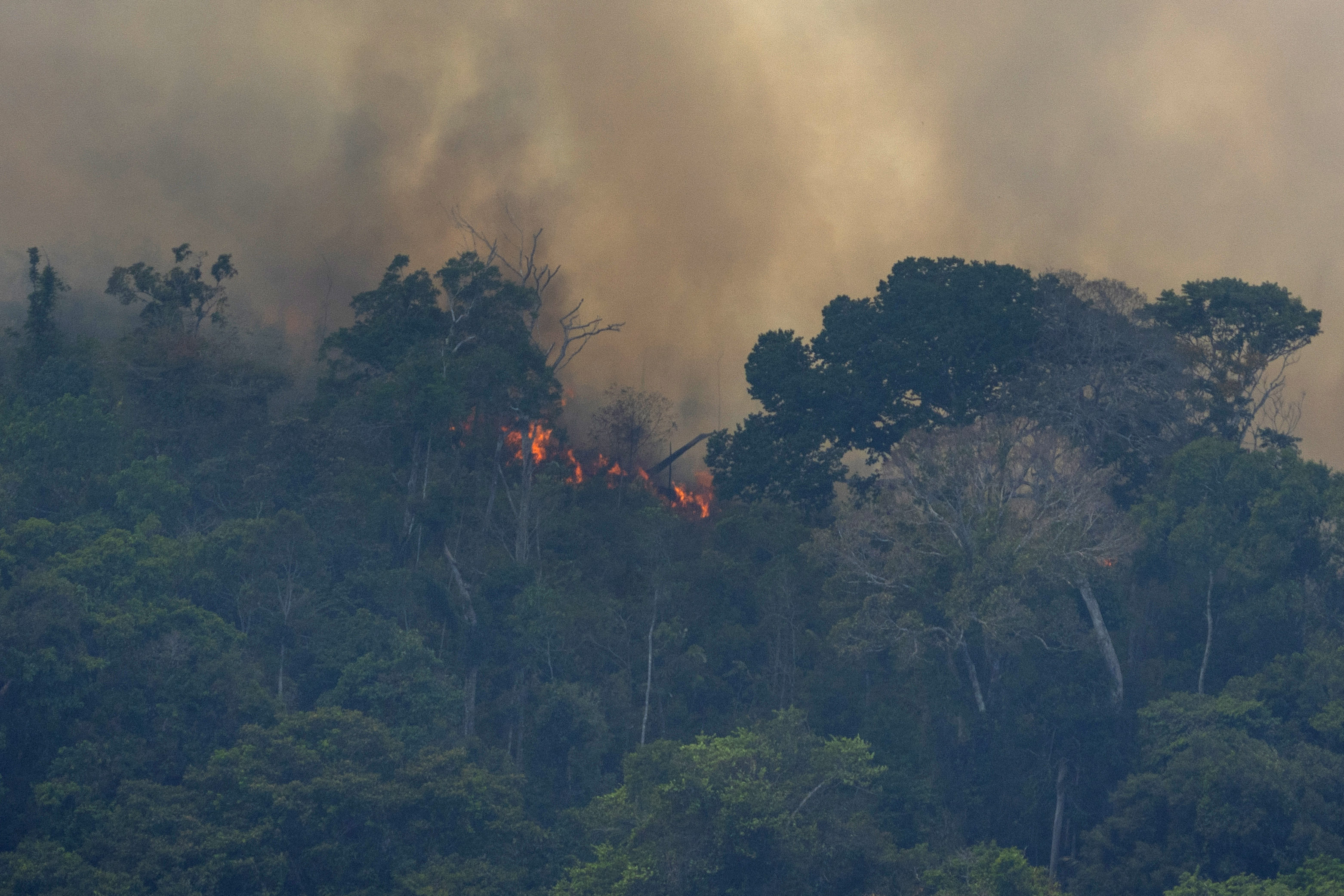 AP Explains: The causes and risks of the Amazon fires