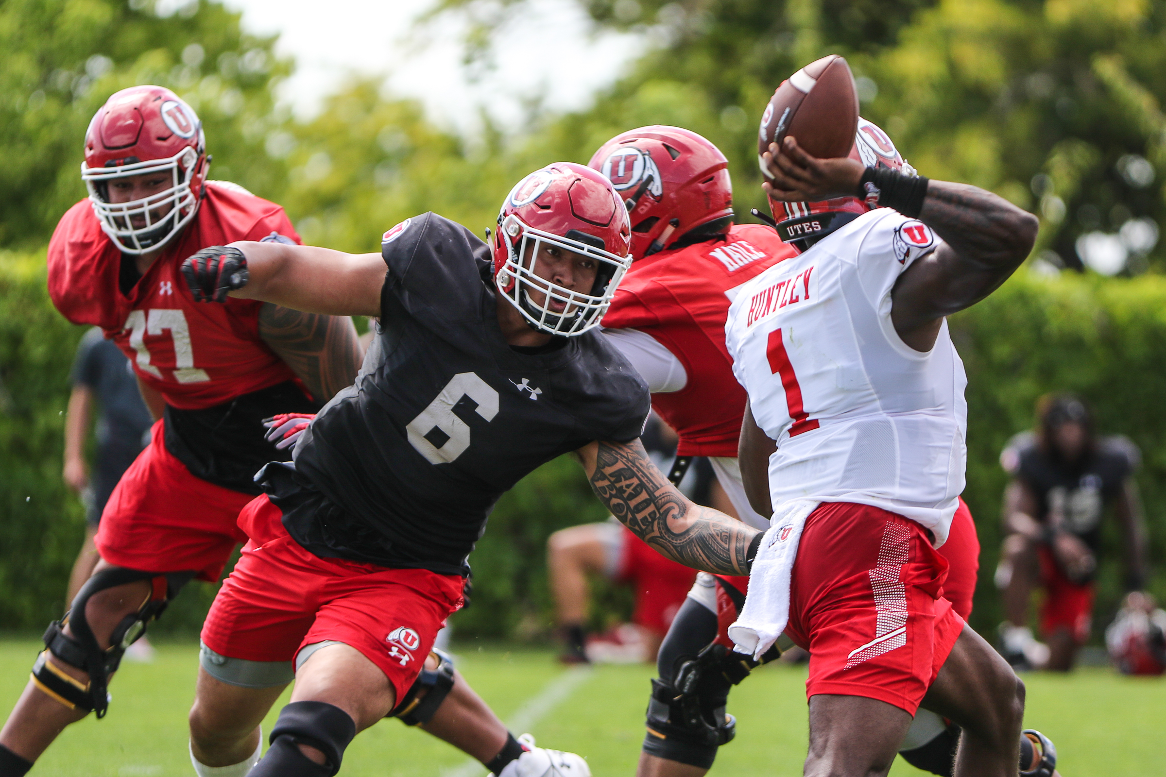 Amid a family pedigree of Cougars, Utah's Bradlee Anae ready to leave his mark