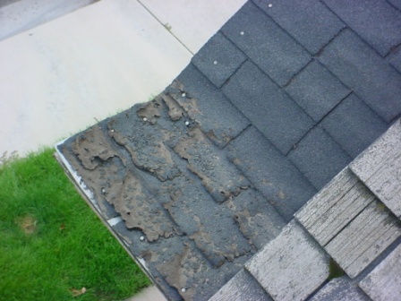 Ice dams have torn these lower shingles up — leaking is a certainty. (Photo: Garth Haslem, Crossroads Engineers & The Home Medic)