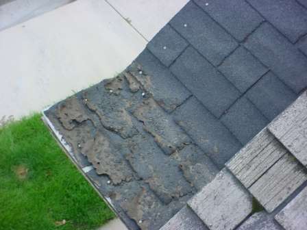 Ice dams have torn these lower shingles up — leaking is a certainty. (Photo: Garth Haslem, Crossroads Engineers & The Home Medic)