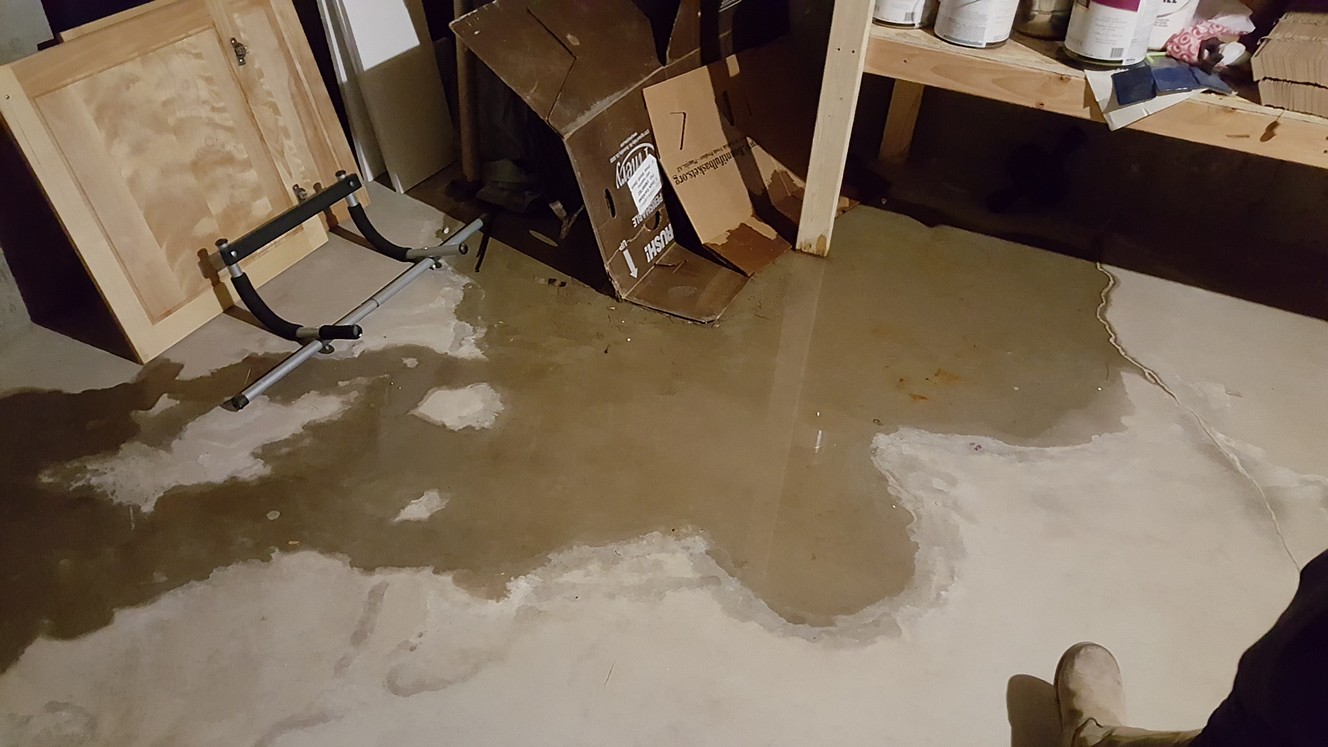 Rot, mold and termites: How to keep them away from your home by keeping it dry