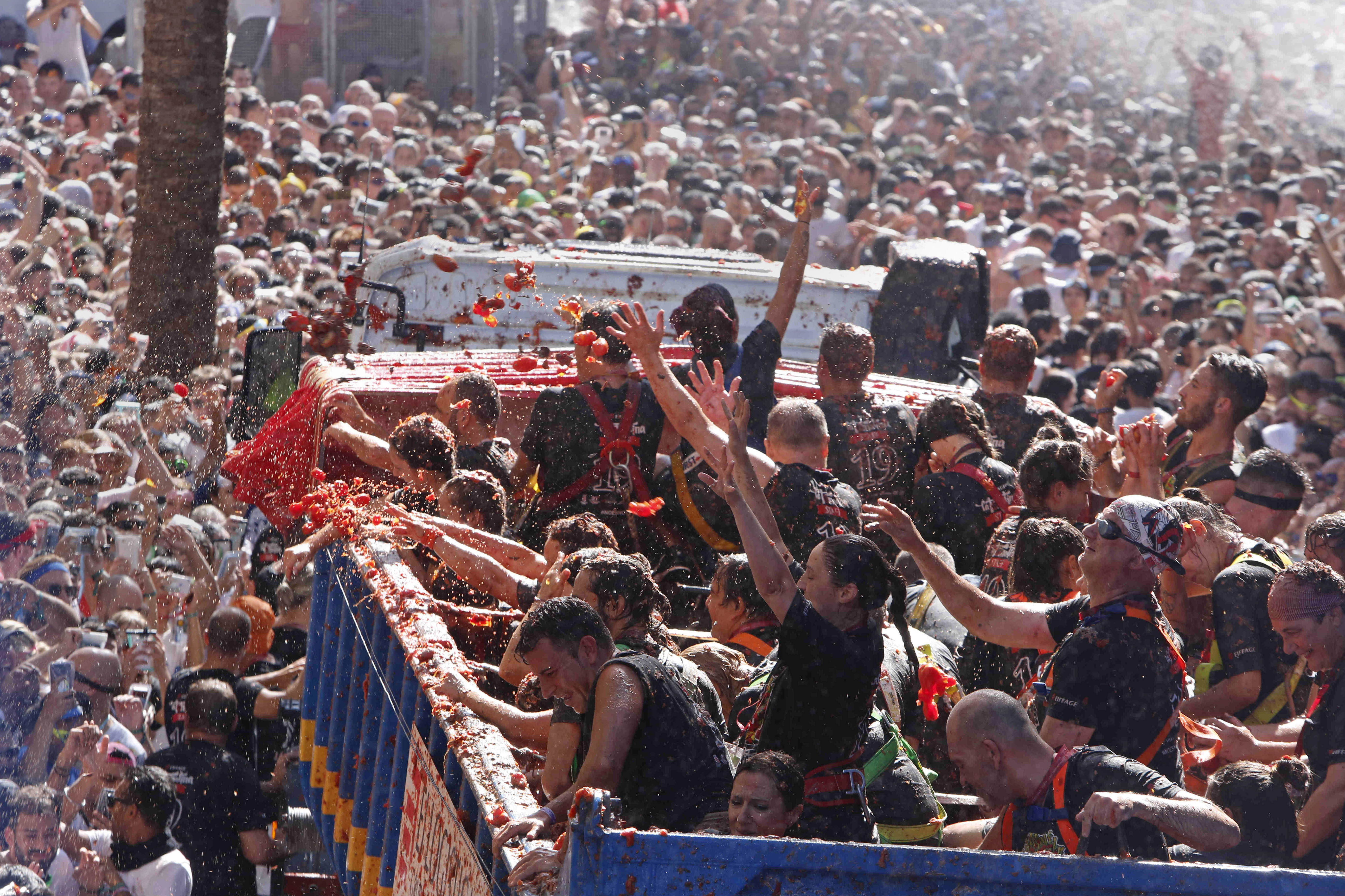Thousands drenched in red in Spain's 'Tomatina' battle