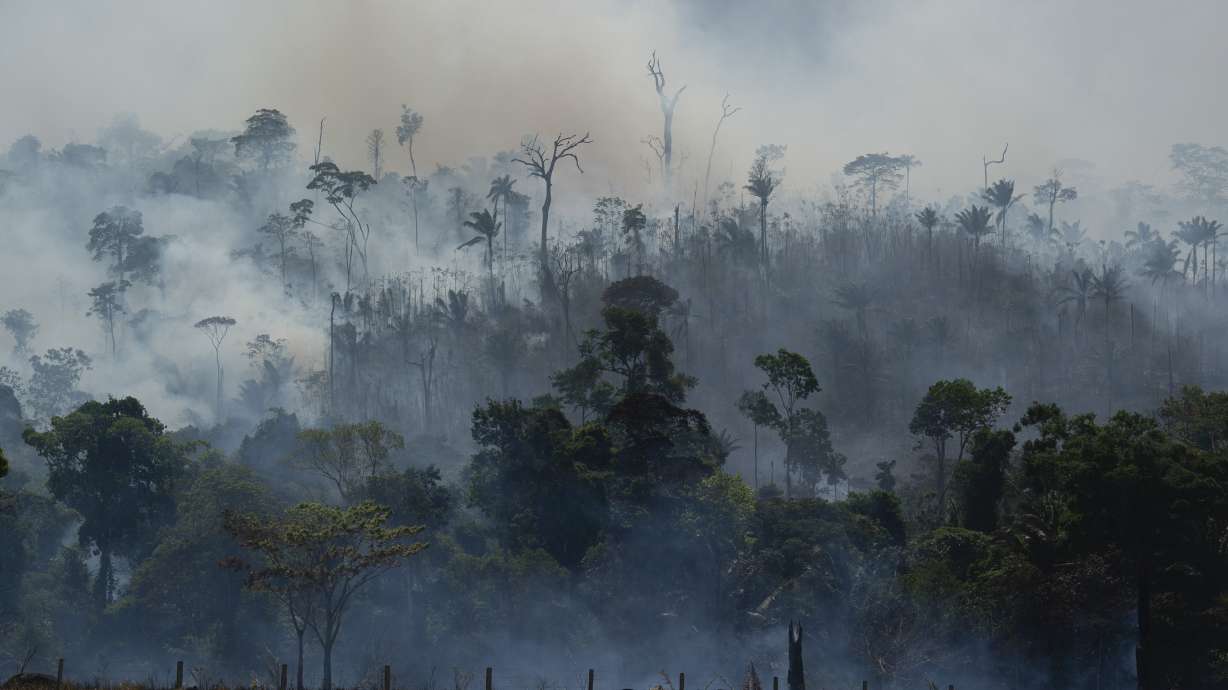 Brazil says it is successfully controlling fires in Amazon
