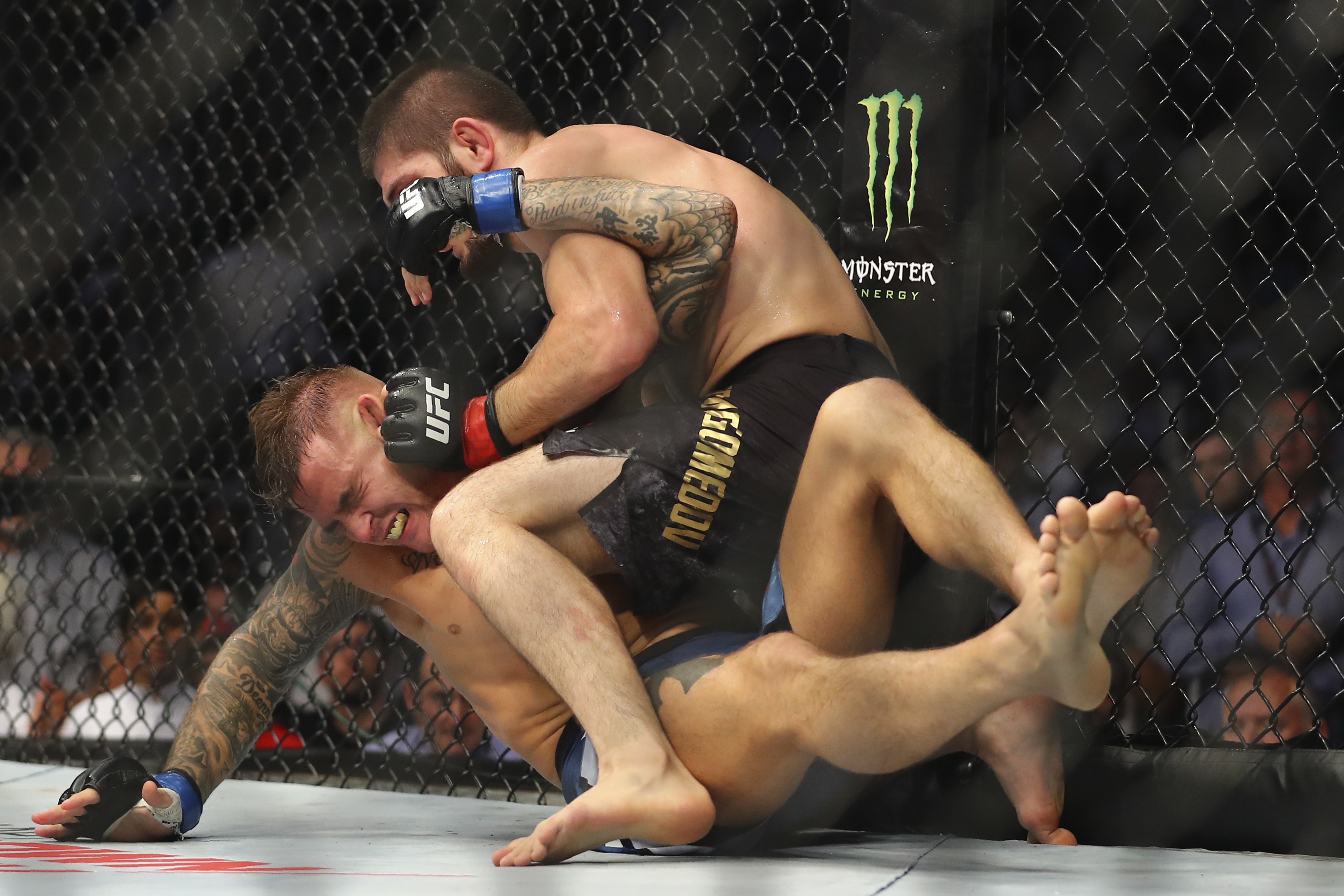 Nurmagomedov beats Poirier, stays unbeaten at UFC 242
