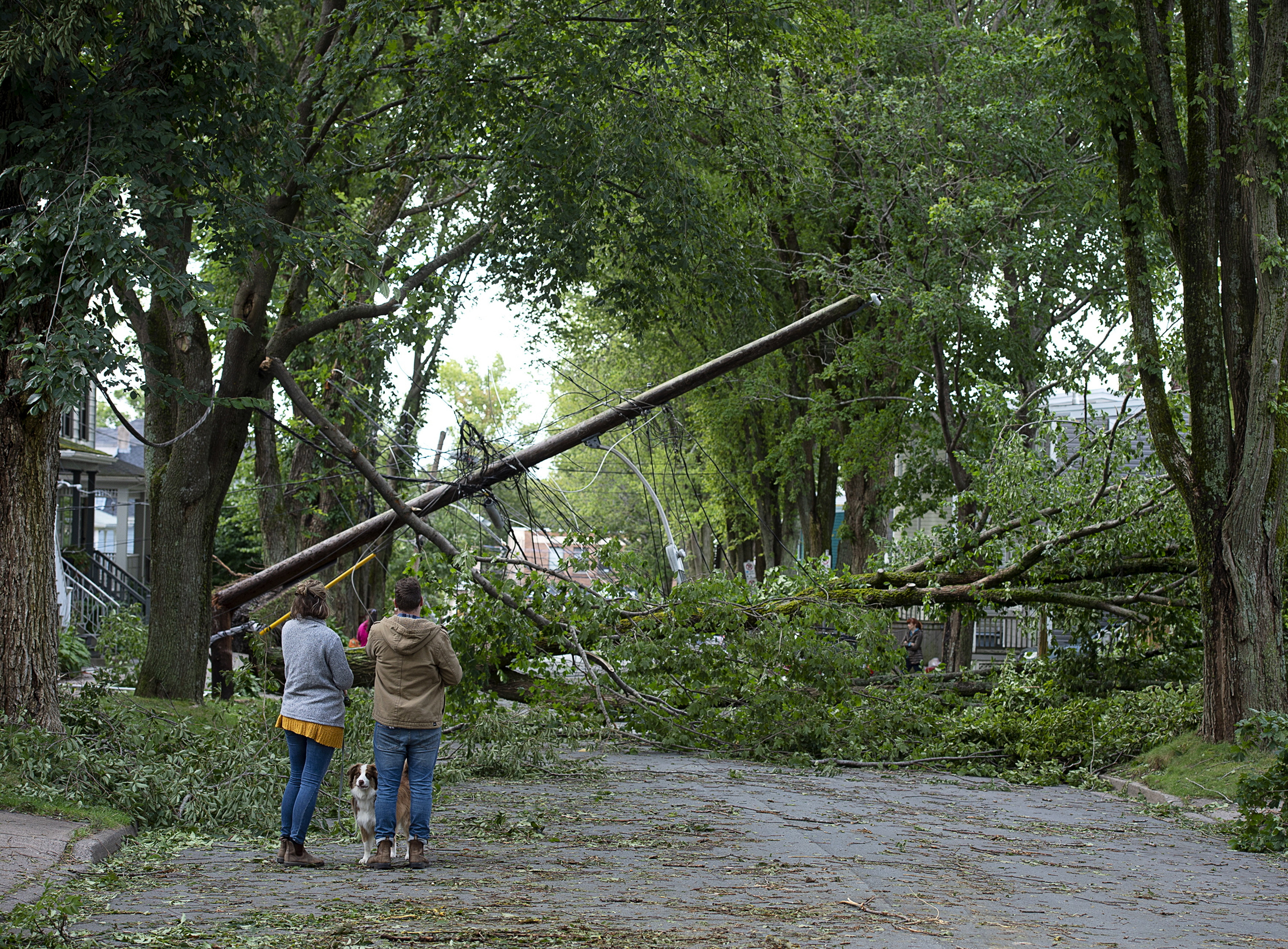 Canada soldiers helping to remove fallen trees after Dorian