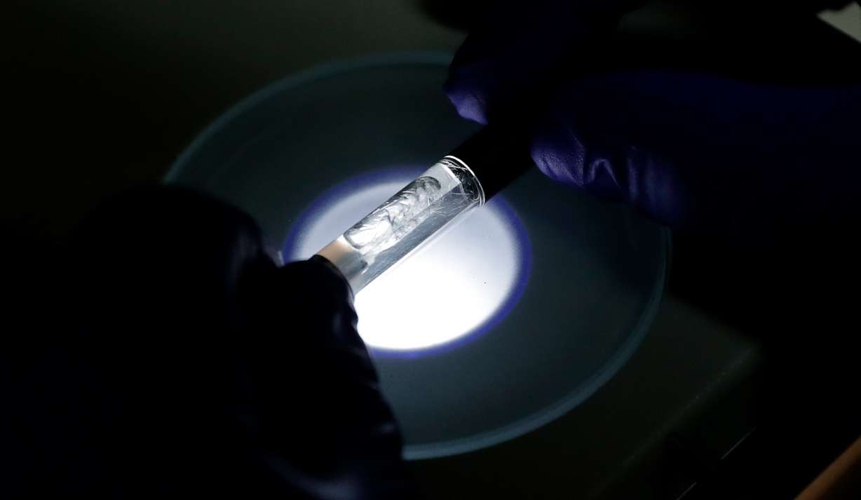A Yolo! brand CBD vape oil cartridge is examined at Flora Research Laboratories in Grants Pass, Ore., on July 17, 2019. (Ted Warren, AP Photo)