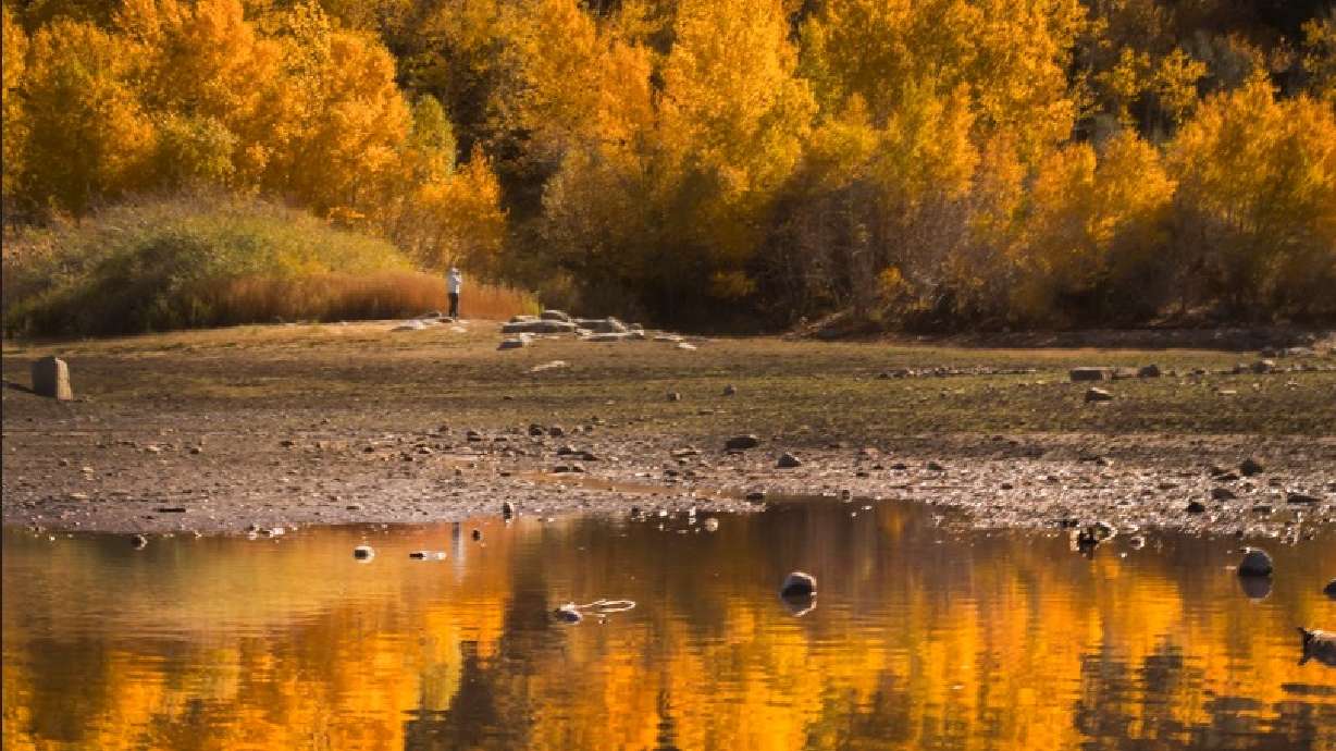 Looking forward to Utah’s fall colors? Here’s what to expect this year