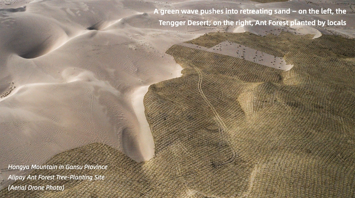 Alipay Ant Forest Named UN Champion of the Earth, the United Nation’s Highest Environmental Honor