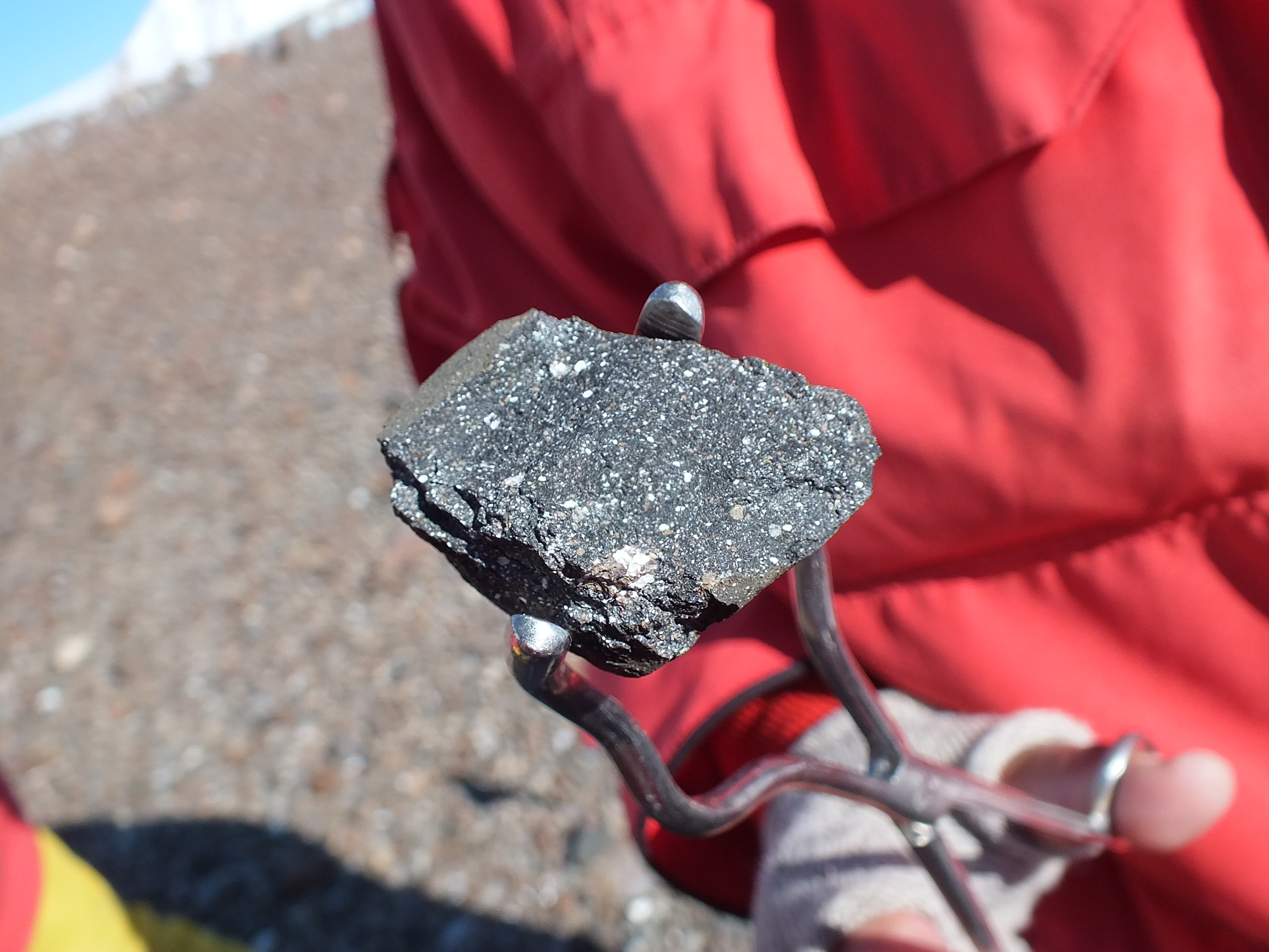 A piece of the lunar breccia (moon rock) held by teflon-tipped stainless steel tongs by the ANSMET 2018-19 field team. (Photo: Paul Scholar, ANSMET)