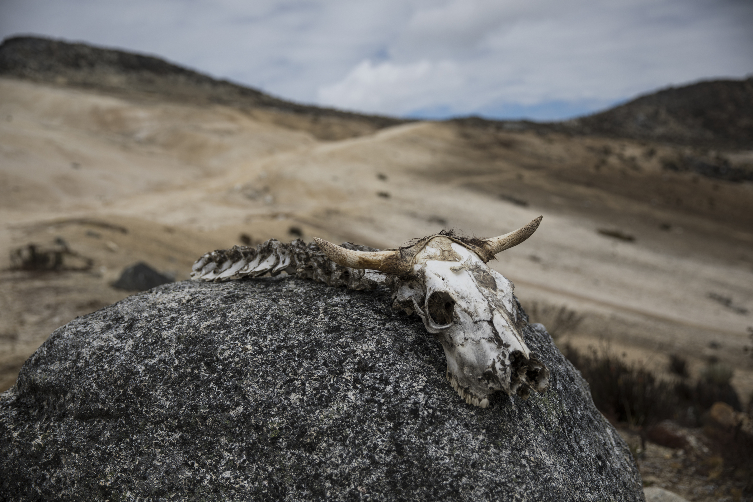 Hardy scientists trek to Venezuela's last glacier amid chaos