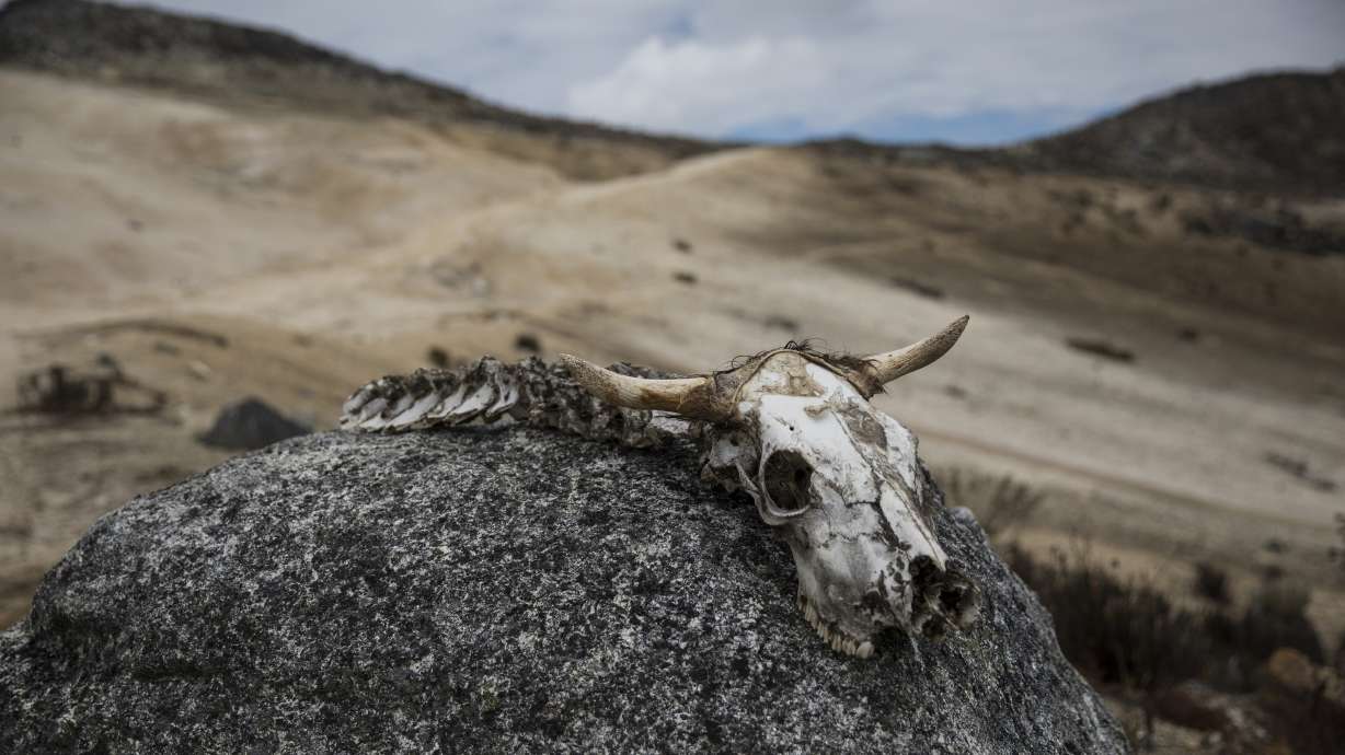 Hardy scientists trek to Venezuela's last glacier amid chaos