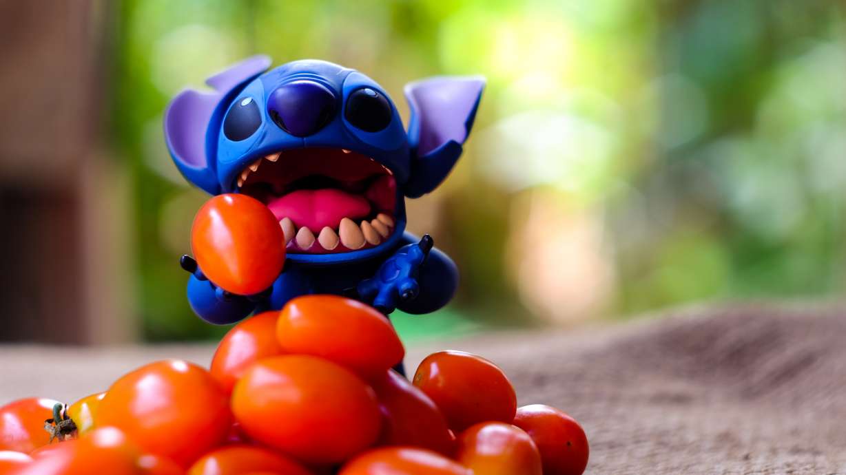 Disney's US theme parks are going vegan