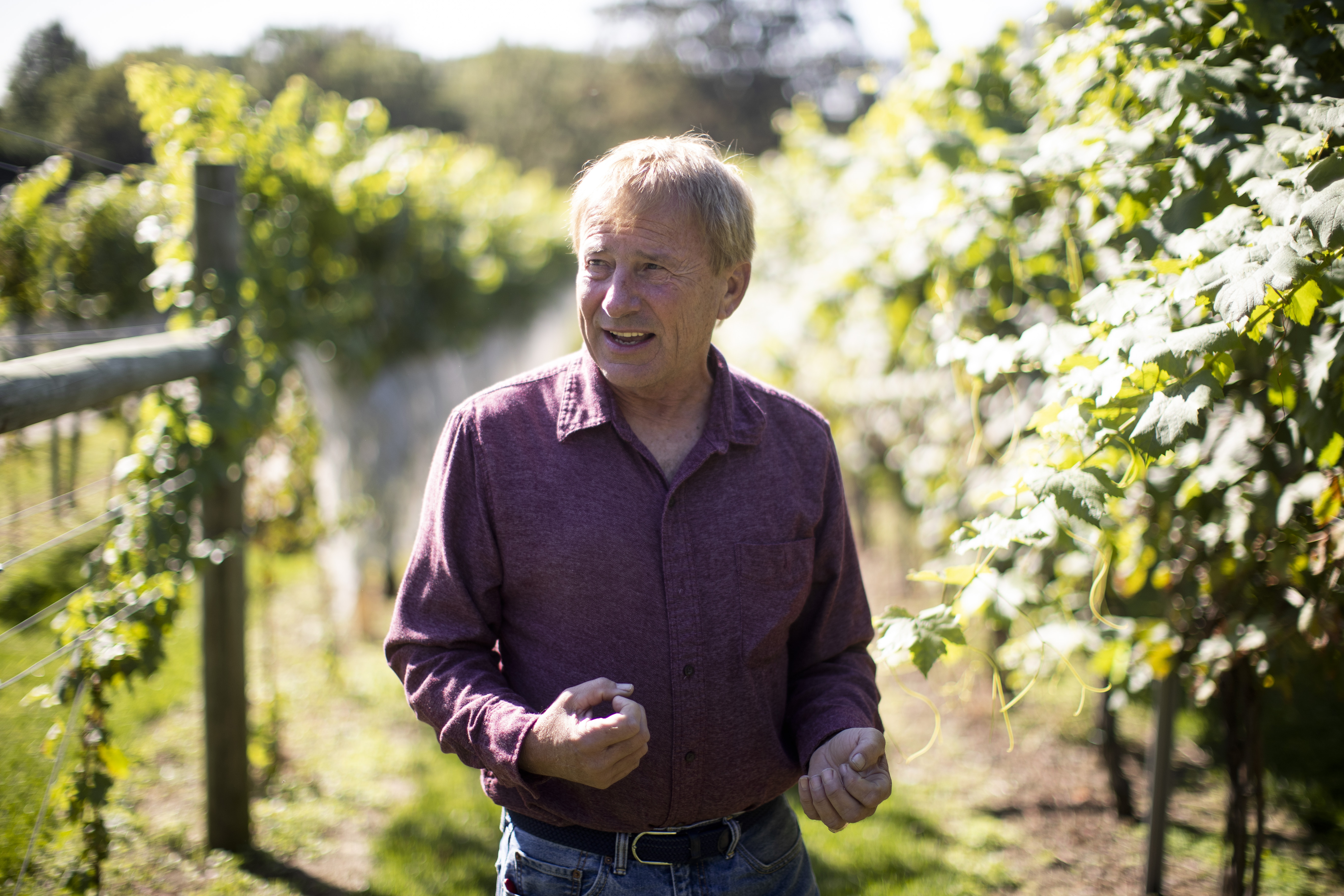 Stomp and squish: Pennsylvanians battle 'nightmare' bugs