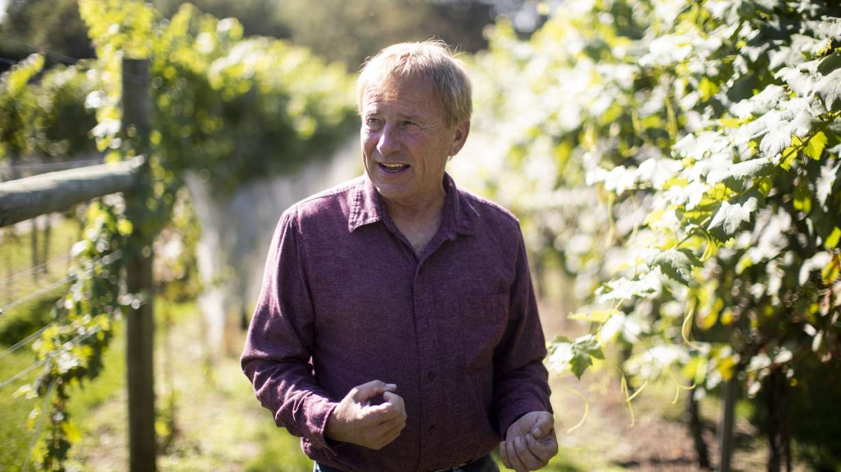 Stomp and squish: Pennsylvanians battle 'nightmare' bugs