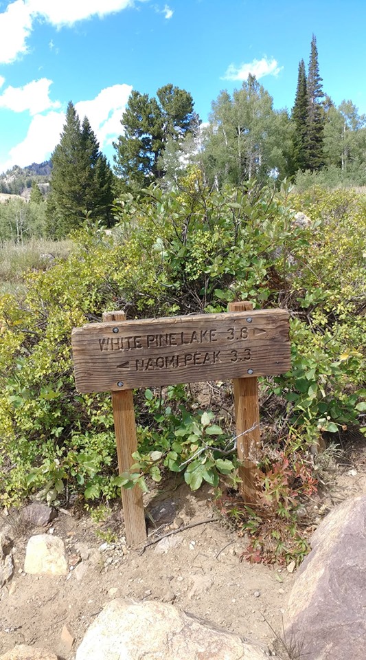 Sign at trail split. Naomi peak to the left. White Pine Lake to the right. (Photo: Robert Williamson)