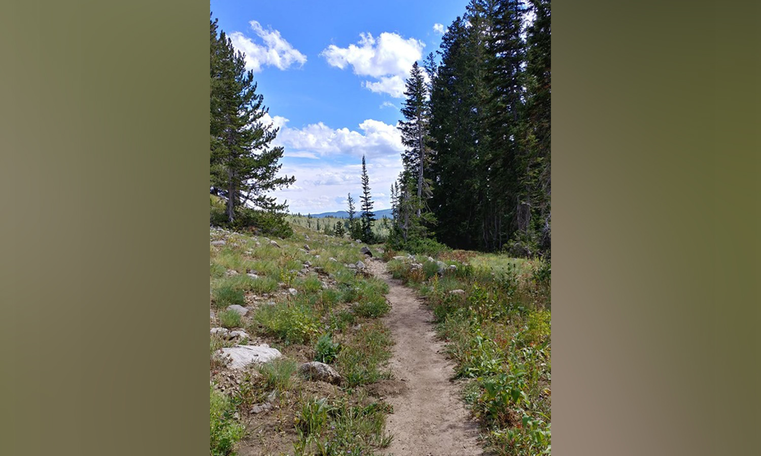 A view from the Naomi Peak Trail on Monday, Sept. 16, 2019. (Photo: Robert Williamson)