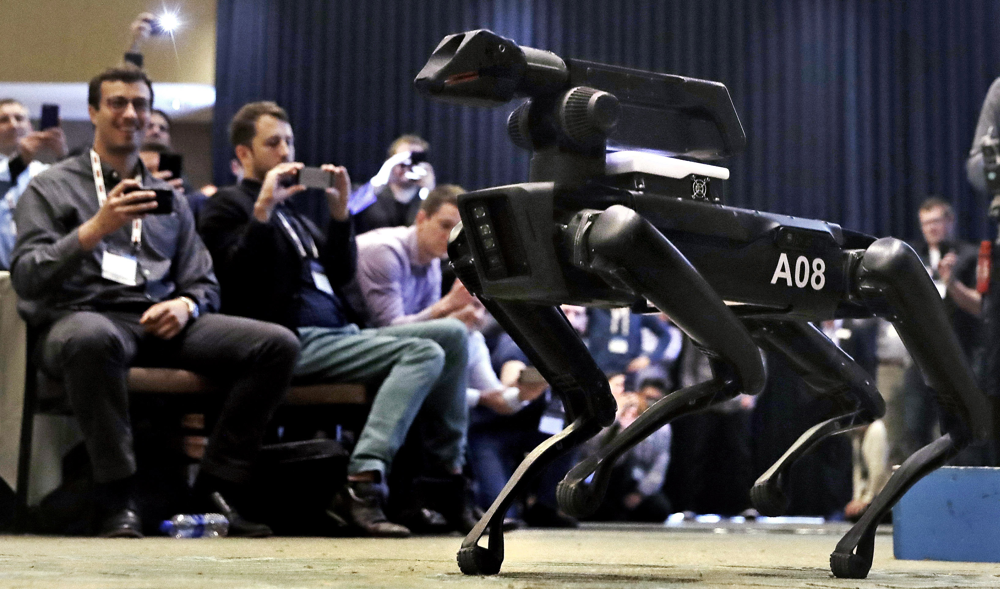 Robots made famous on YouTube could be headed to circus