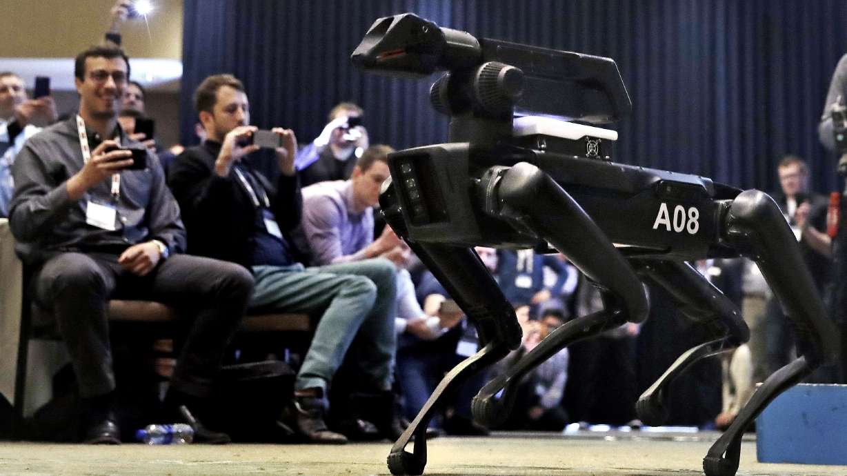 Robots made famous on YouTube could be headed to circus