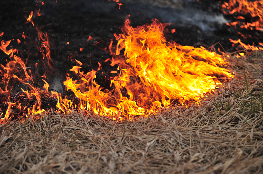 Is arson behind a series of summer grass fires in Utah?