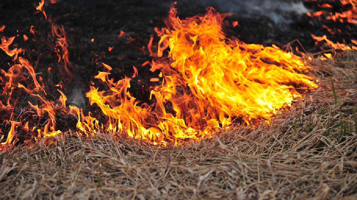 grass fire, fire