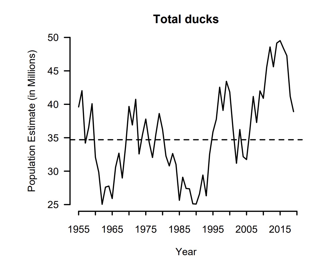 A graph showing an estimate of the total population of ducks in North America from 1955 through 2019. The dotted line indicates the long-term average. (Graphic: U.S. Fish and Wildlife Service)