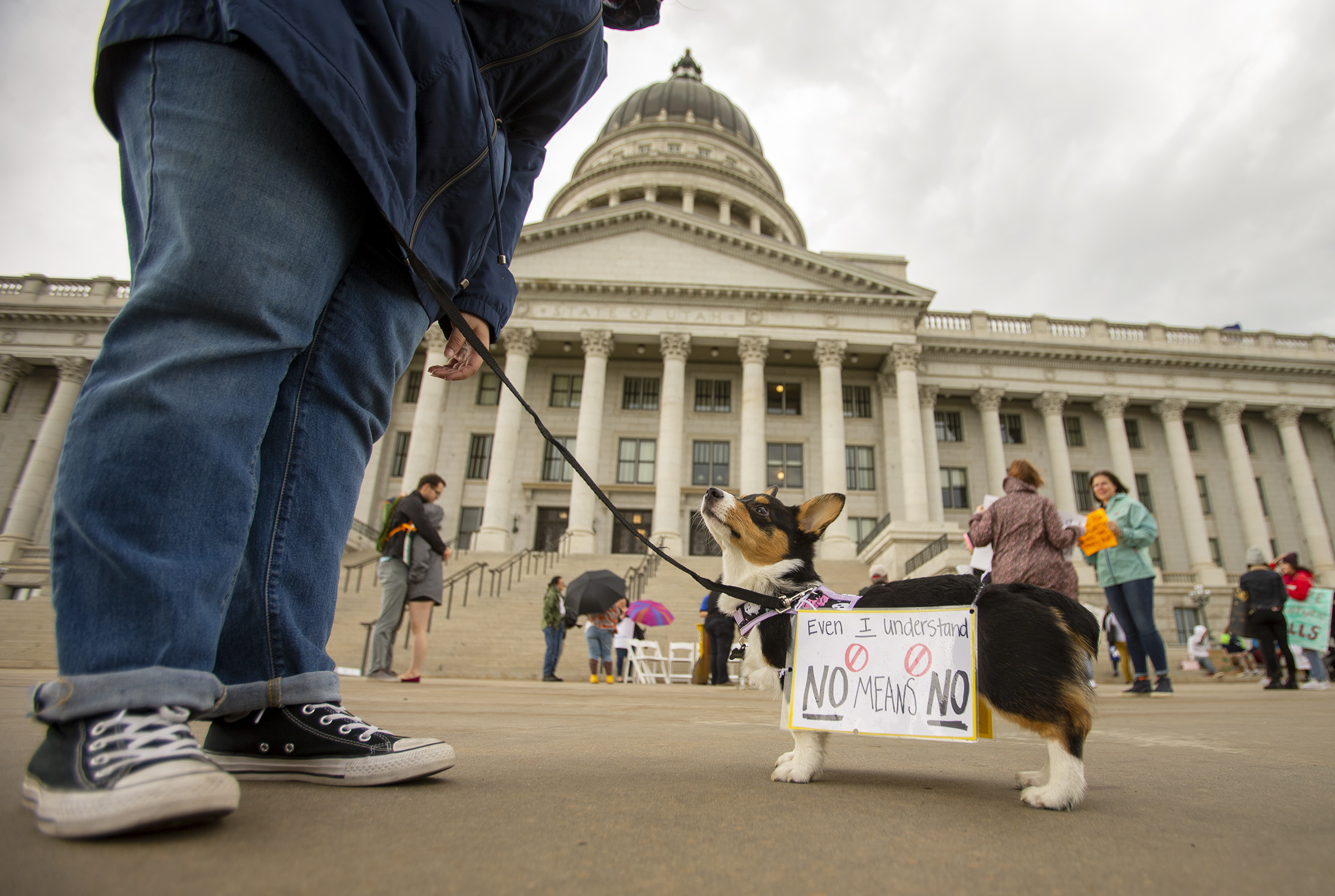 Valerie McFadin with her puppy Havarti join a group at the Capitol during the Walk of No Shame in Salt Lake City on Saturday, Sept. 28, 2019. (Scott G. Winterton, KSL)