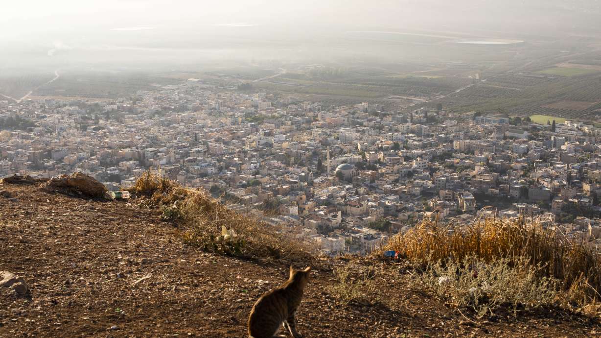 Electoral gains revive old dilemma for Israeli Arabs