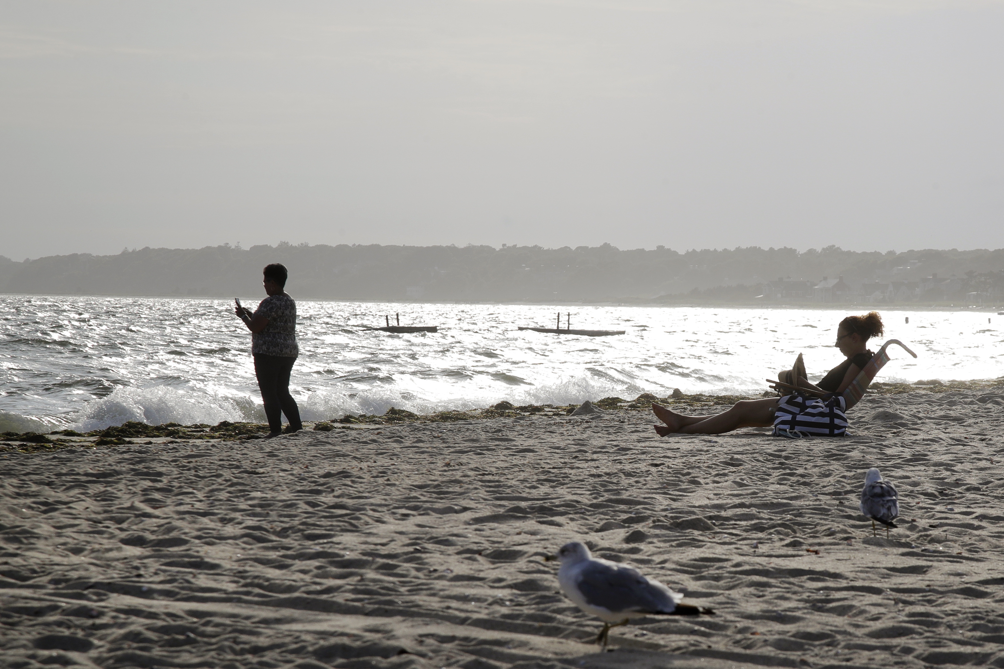 President's windmill hatred is a worry for booming industry