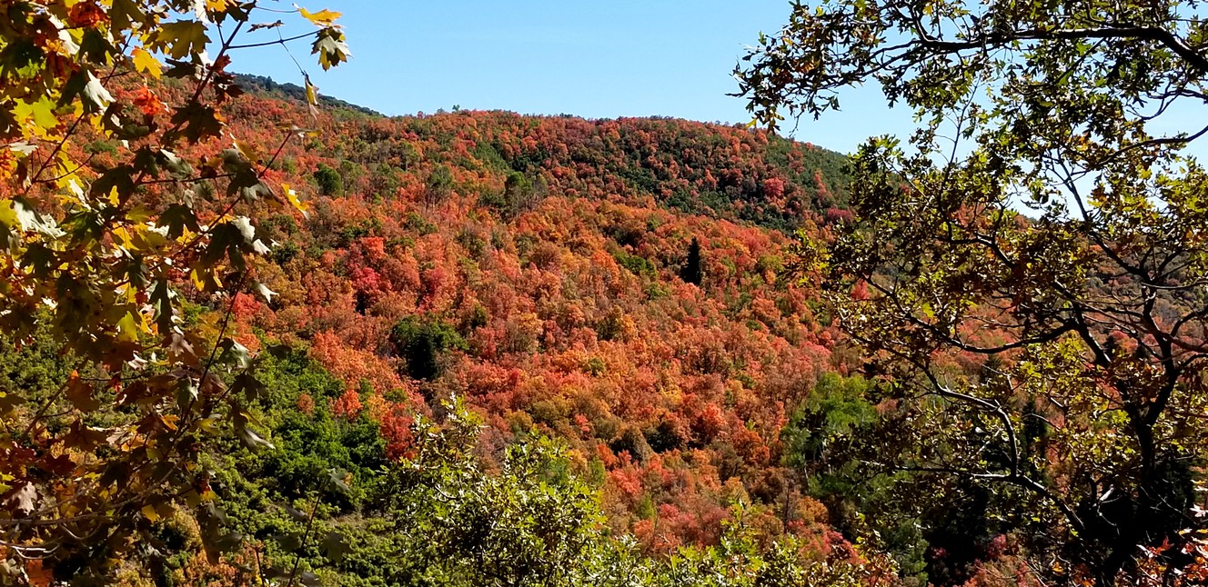 Pics of the month: Utah's leaves are turning and we're here for that
