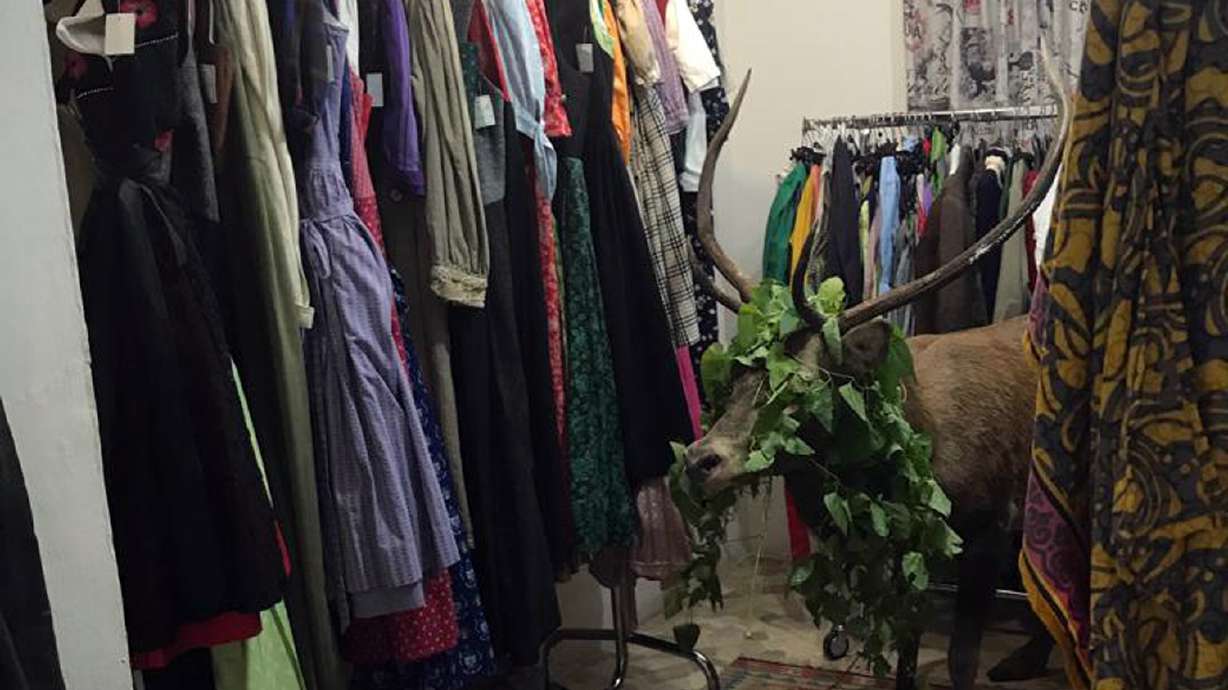 Dazed and confused deer gets trapped in Italy's resort shop