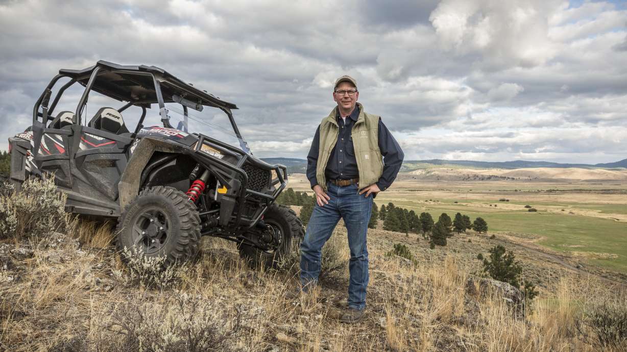 5 bulls found dead in Oregon; then the story gets weird