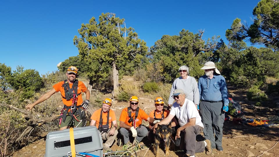 Make Your Week: Rescuers save 'Owl Pacino' and a lucky dog named Jerome