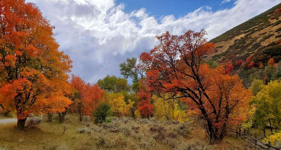 Hobblecreek Canyon east of Springville on Sunday, Sept. 30, 2019 (Photo: Suzanne Taylor)