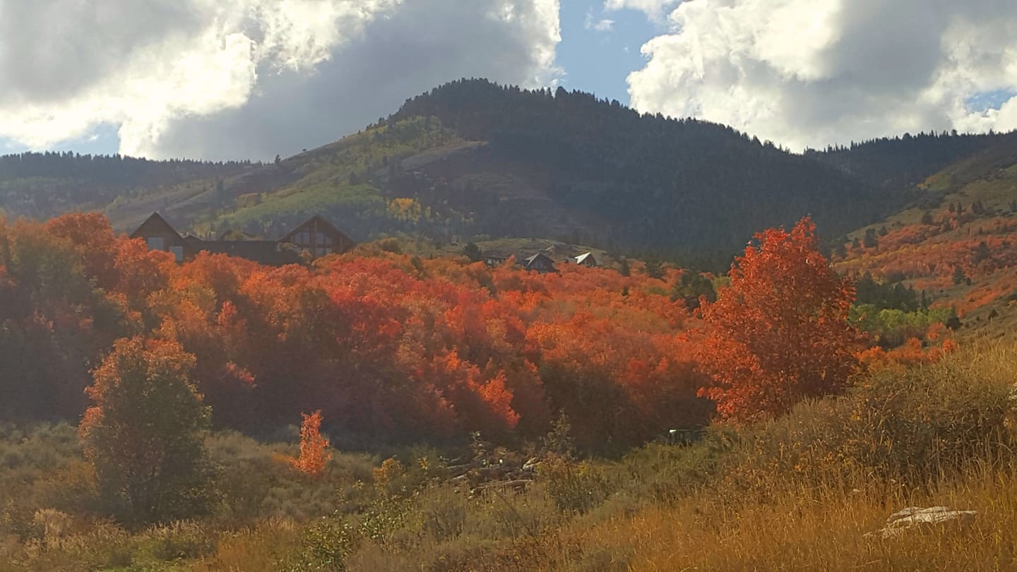 An undated photo of fall colors near Bear Lake in northern Utah. (Photo: Susan Reese)