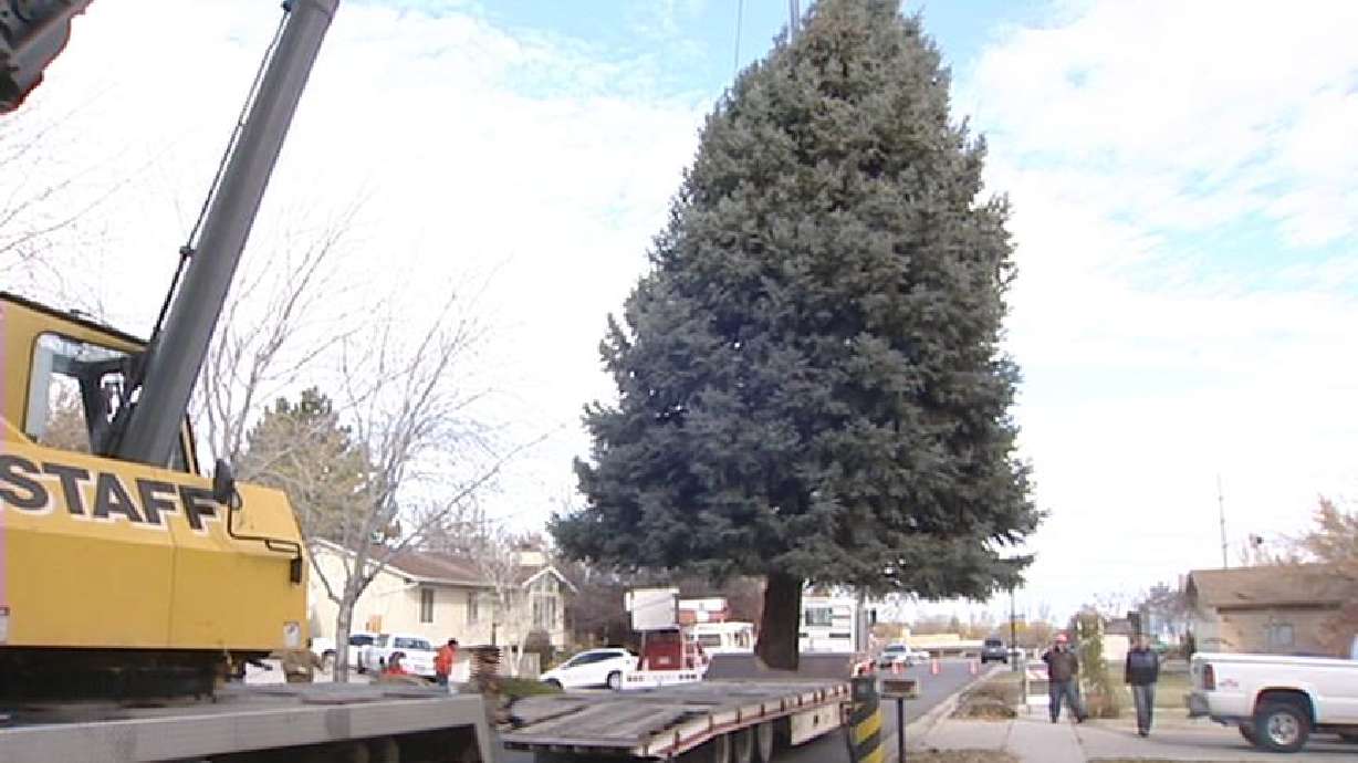 West Jordan Family Donates Christmas Tree