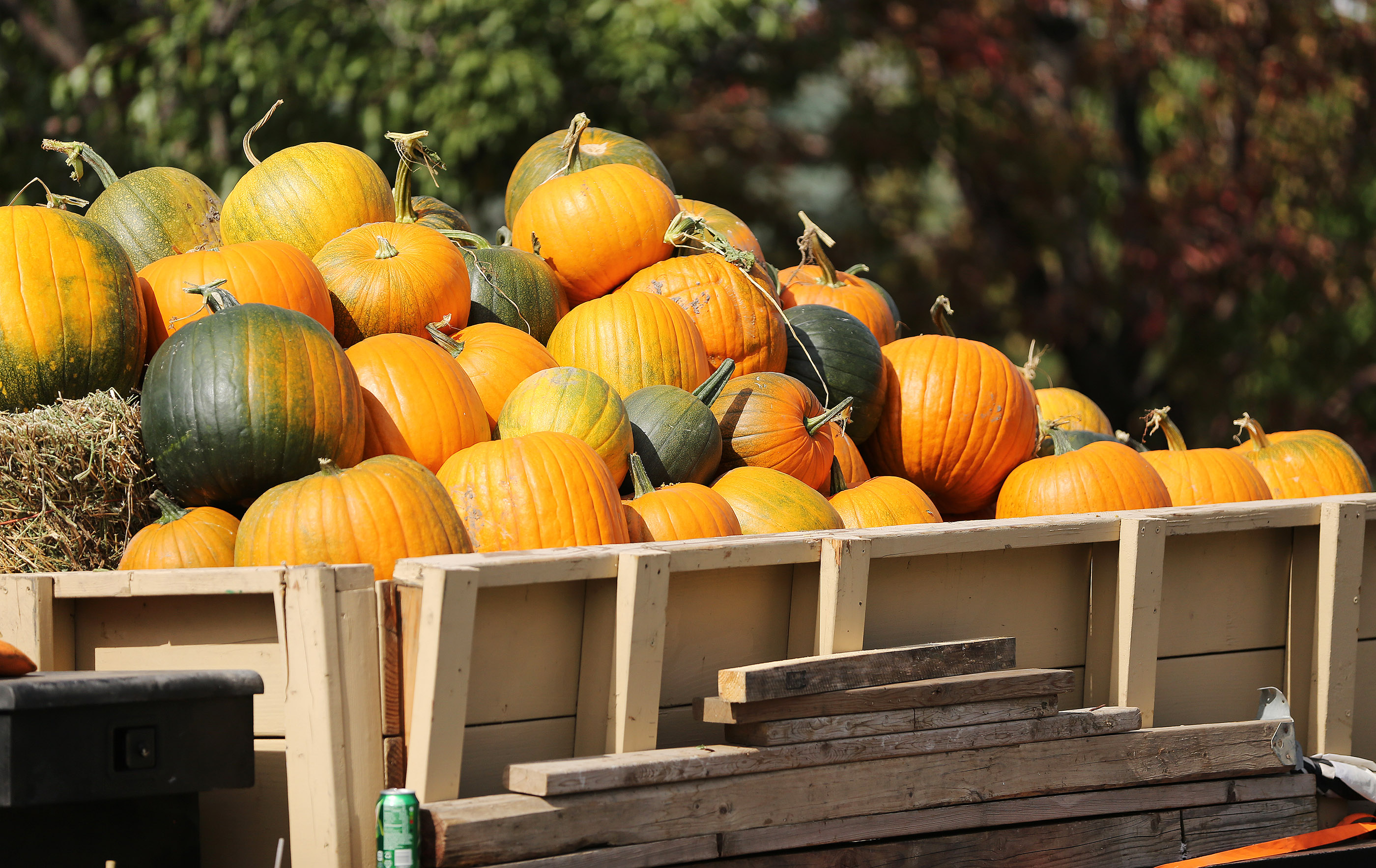 Events and festivals happening in Utah in October