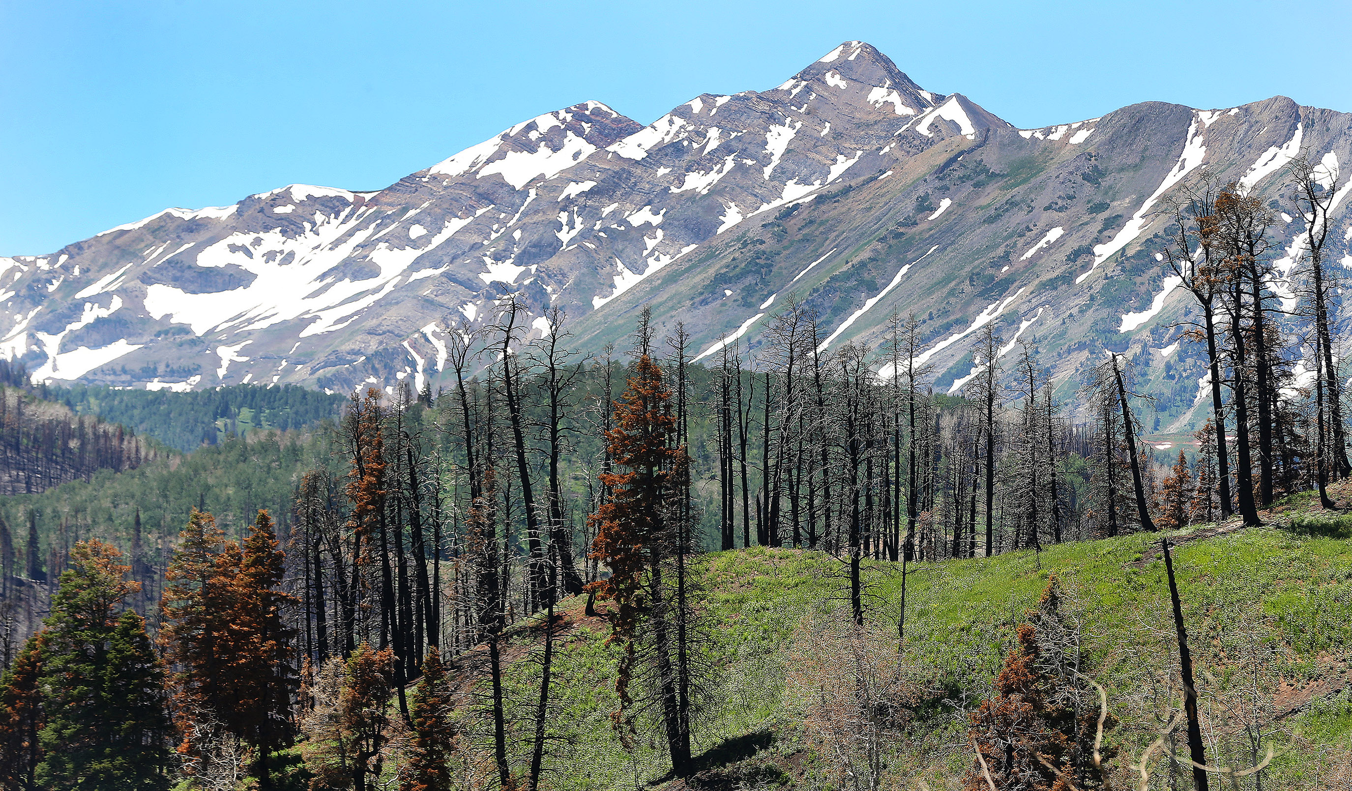 Popular trails in Utah County still closed due to mudslides, damage caused by wildfires
